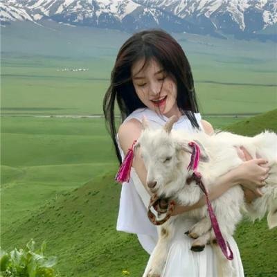 豫菜皇后